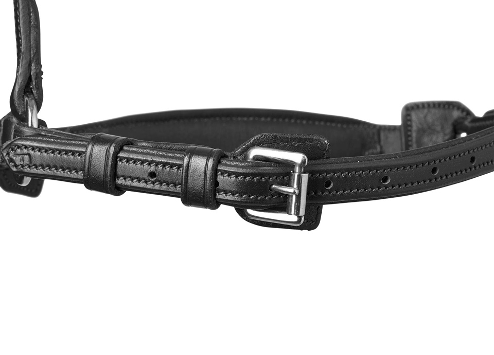 NOSEBAND TURIN SELECT - Anatomisches Reithalfter